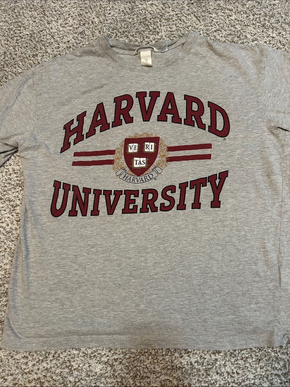 H&M Harvard Crewneck
